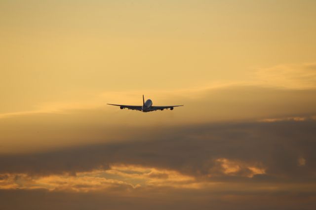 Airbus A380-800 (A6-EVF)