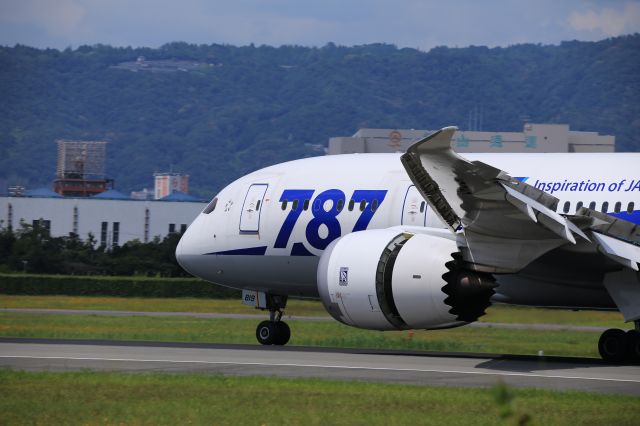 Boeing 787-8 (JA819A)