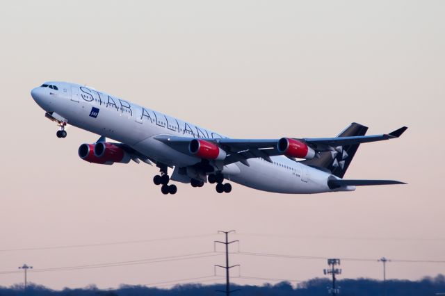 Airbus A340-300 (OY-KBM)