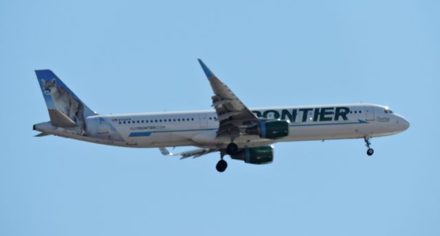 Airbus A321 (N702FR) - This is Courtney the Cougar Frontiers Airbus moments before landing March 2018.