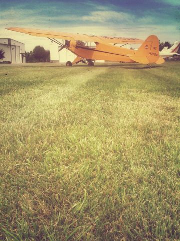 Piper NE Cub — - PIPER J-3 CUB