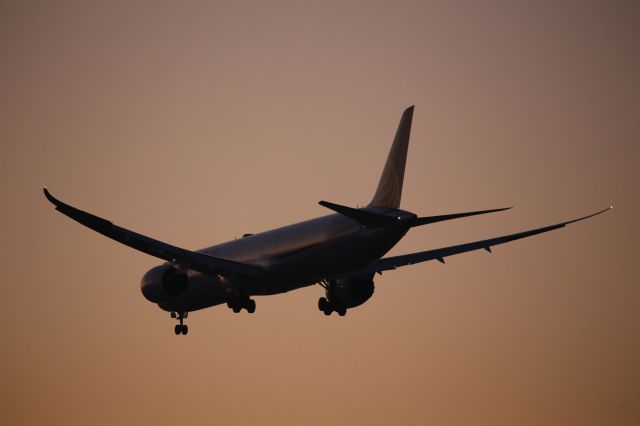 BOEING 787-10 Dreamliner (N16009)
