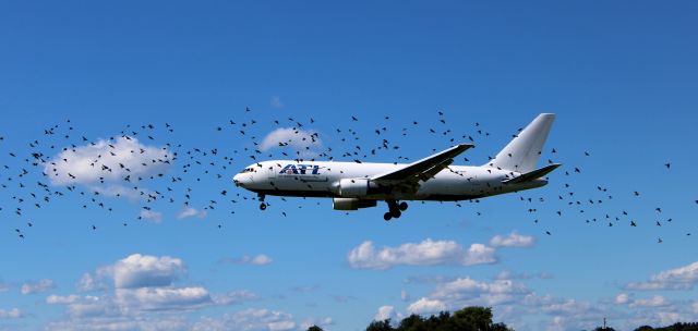 BOEING 767-200 (N739AX) - This is the second of a set of five with a 1982 Air Transport International on final in the Summer of 2020. "Beware of birds in the vicinity of the airport."