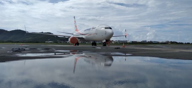 Boeing 737-800 (OK-TVT)