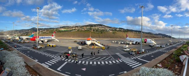 — — - Appron Overview Madeira Airport 20241019