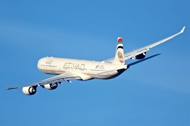 Airbus A340-600 (A6-EHF)
