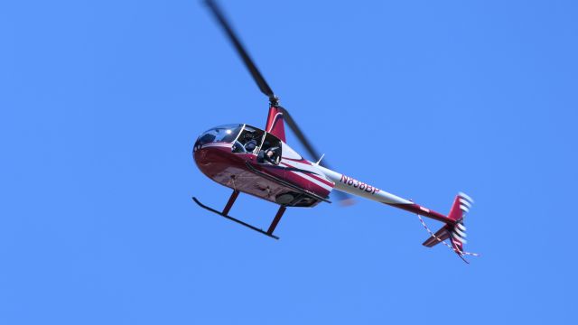 Robinson R-44 (N838BP)