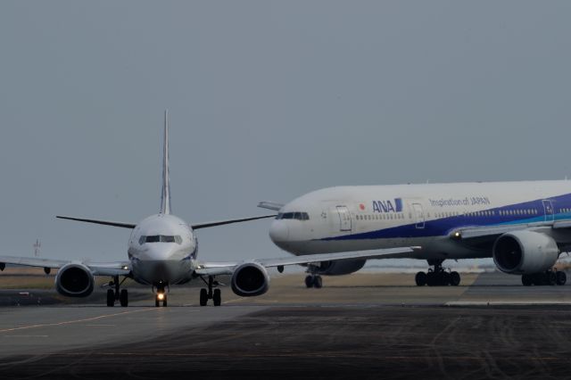 Boeing 737-500 (JA356K) - and JA703A(B772.ANA)