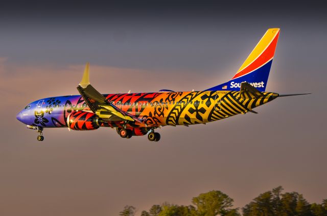 Boeing 737-700 (N8710M)