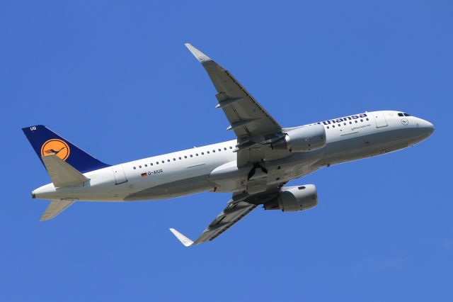 Airbus A320 (D-AIUQ)
