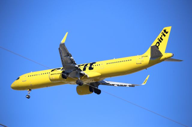Airbus A321neo (N703NK)
