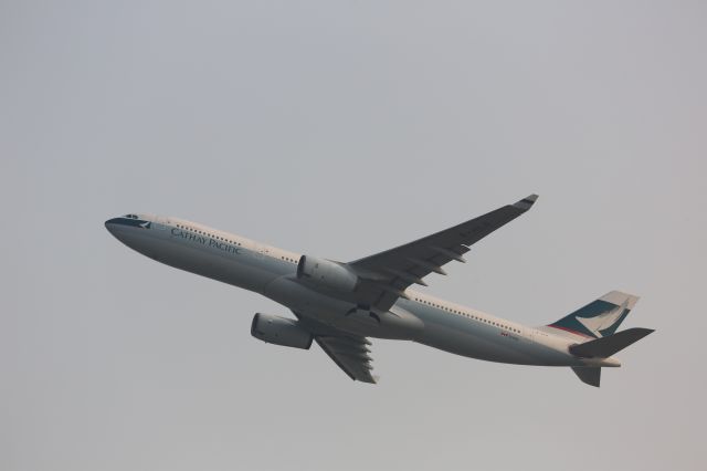 Airbus A330-300 (B-HLD)