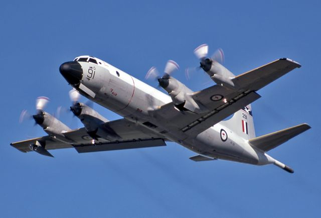 A9291 — - AUSTRALIA - AIR FORCE - LOCKHEED P-3B ORION - REG A9-291 / 91 (CN 185B-5401) - EDINBURGH RAAF BASE ADELAIDE SA. AUSTRALIA - YPED (16/6/1986)