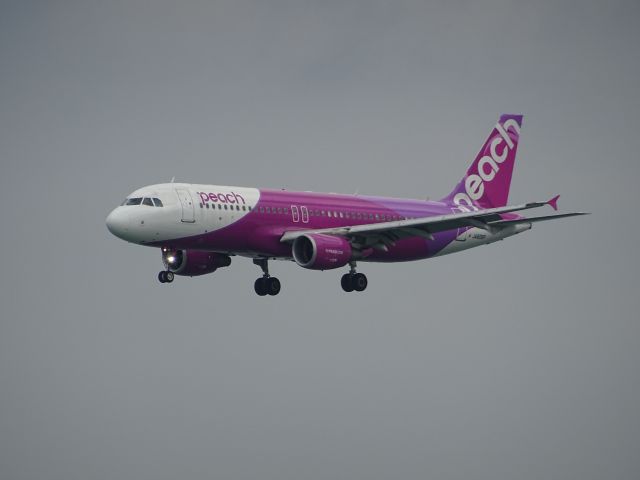 Airbus A320 (JA805P)