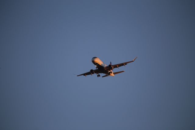 EMBRAER 175 (long wing) (N290SY)
