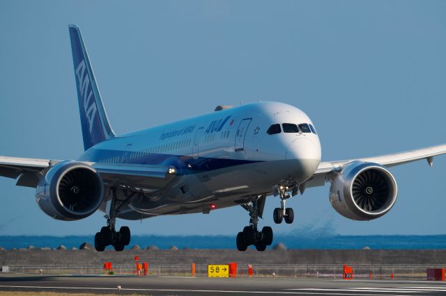 Boeing 787-8 (JA819A)