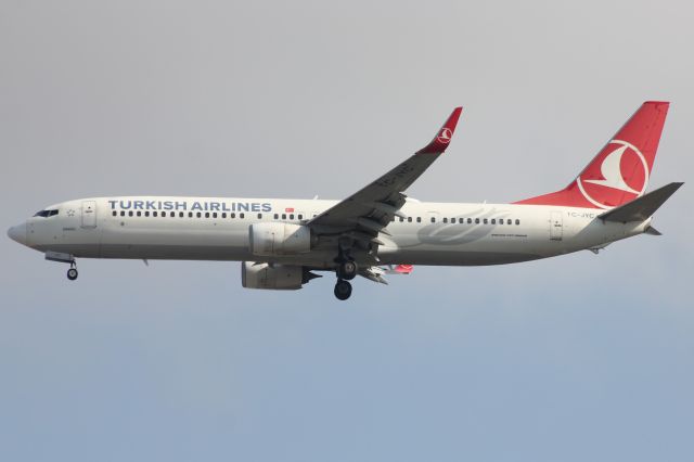 Boeing 737-900 (TC-JYC)
