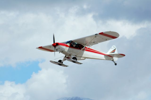 Piper L-21 Super Cub (N4251Z)