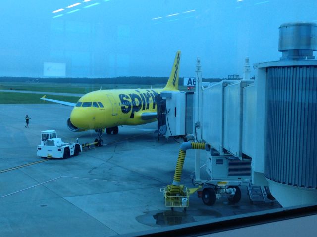 Airbus A319 (N534NK) - Just after its new Paint job - September 2014