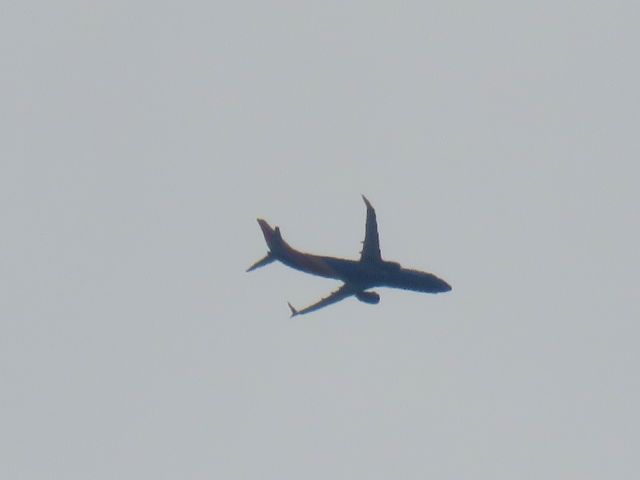 Boeing 737-800 (N8578Q)