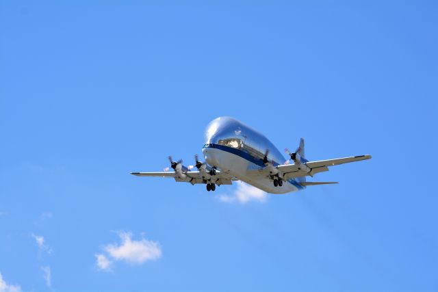 Aero Spacelines Super Guppy (N941NA) - I was standing near I-565 right below the final approach to the Redstone Arsenal Army Airfield, Huntsville, AL.  The date was 7/10/2017. 