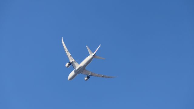 Boeing 787-9 Dreamliner (B-1431)
