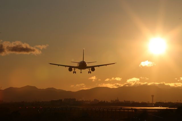 Airbus A320 (JA8609) - 21 May 2015:HND-HKD.