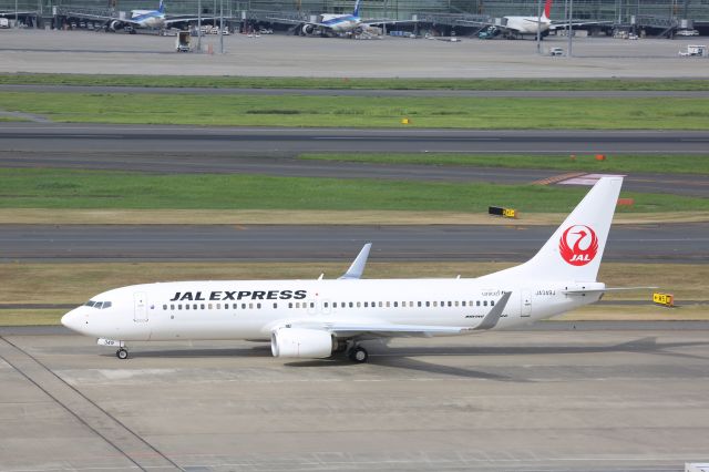 Boeing 737-800 (JA349J)