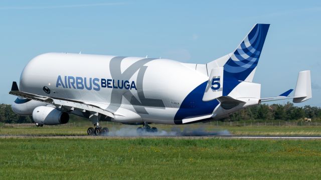 AIRBUS A-330-700 Beluga XL (F-GXLN) - Beluga XL N°5 touching down runway 25