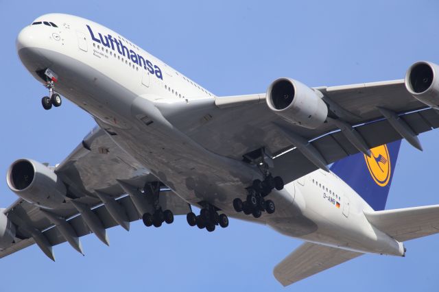 Airbus A380-800 (D-AIMB)