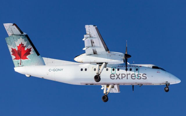 de Havilland Dash 8-100 (C-GONY)