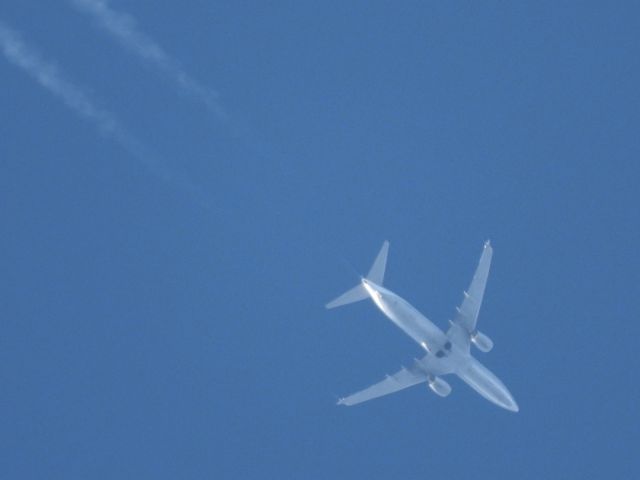 Boeing 737-800 (N33266) - UAL766br /SJD-ORDbr /01/16/2025