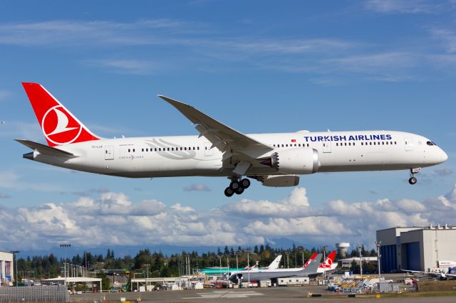 Boeing 787-8 (TC-LLN)