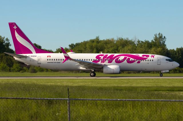 Boeing 737-800 (C-GXRW) - A 737 named Bob