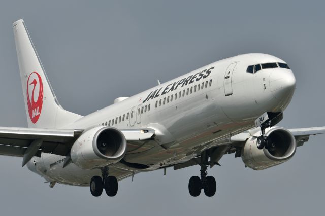 Boeing 737-800 (JA344J)