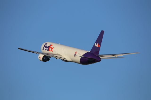 BOEING 767-300 (N273FE)