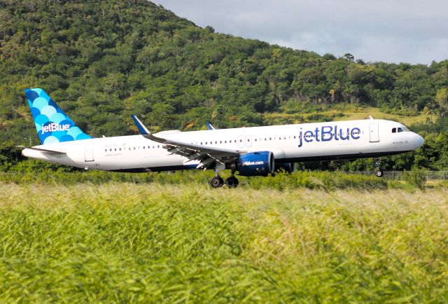 Airbus A321neo (N2039J)
