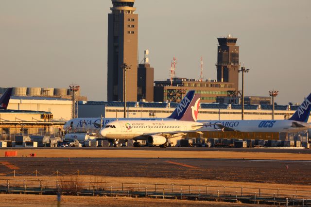 Airbus A319 (B-MAM)