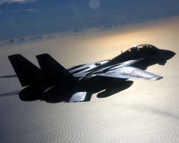 Grumman F-14 Tomcat —