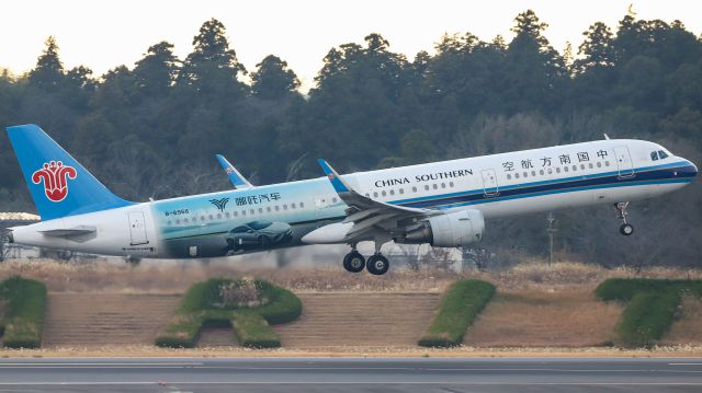 B-8966 — - Neta S livery