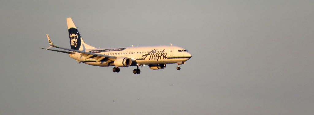 Boeing 737-900 (N453AS) - Special Charter to Charlotte for Seahawk fans Jan. 16, 2016