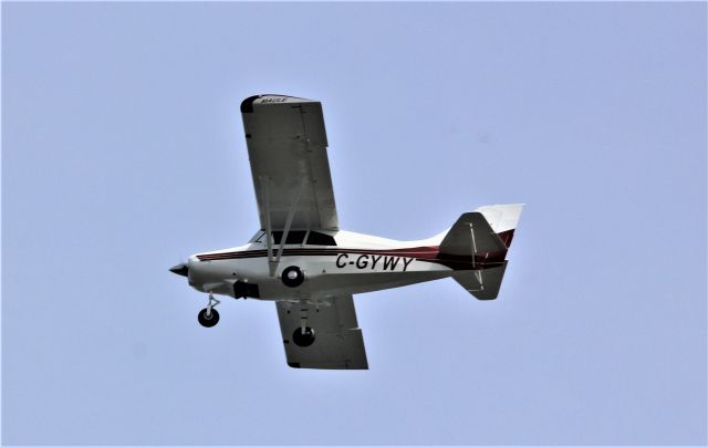 C-GYWY — - C-GYWY Maule MXT-7-180 survolant le fleuve St-Laurent river à Lavaltrie QC. le 10-07-2022 à 14:24.