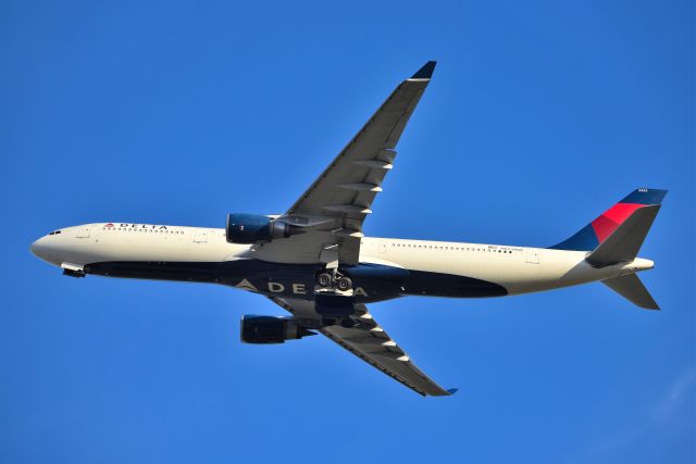 Airbus A330-300 (N823NW) - Tucking the gear away. This bird used very little runway and climbed like a bat out of hell. Pretty lite load, just the football team and heading for MSP. Taken 09-20-20