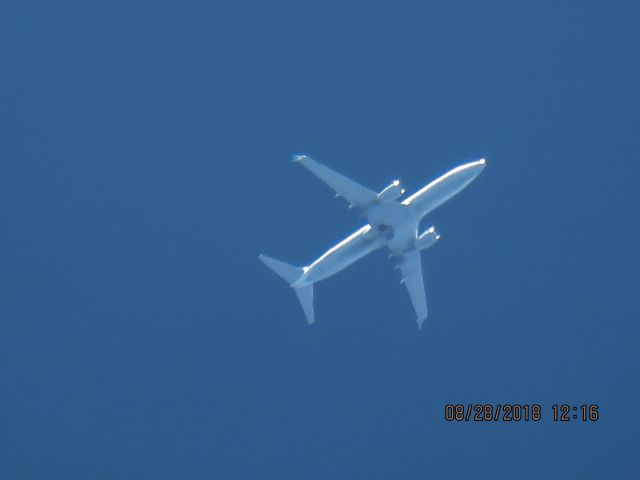 Boeing 737-800 (N14231)
