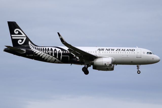 Airbus A320 (ZK-OXM) - on 13 August 2017