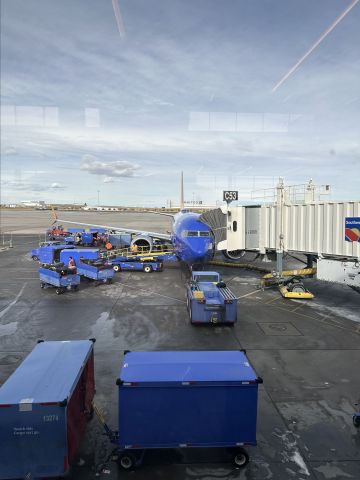 Boeing 737 MAX 8 (N8923Q) - Standing from inside the terminal