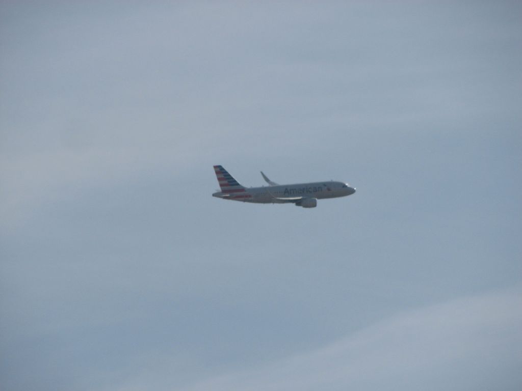 Airbus A319 (N8001N) - American Airlines flight 971 arriving from Eagle, CO