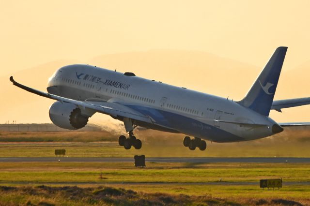 Boeing 787-9 Dreamliner (B-7838)