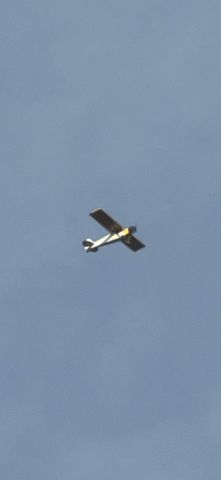 Piper L-21 Super Cub (N3942Z)