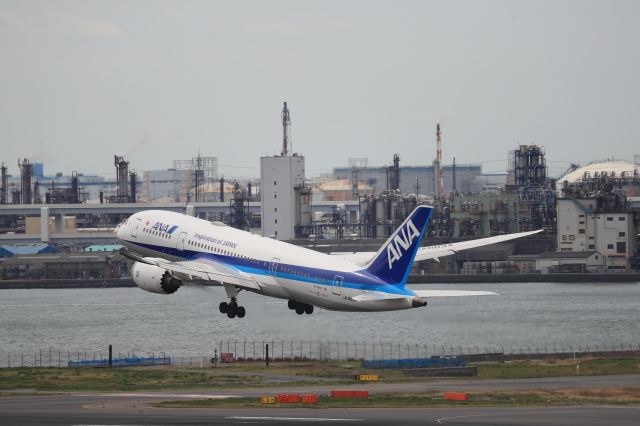 Boeing 787-8 (JA803A) - April 14th 2019:HND-TSA